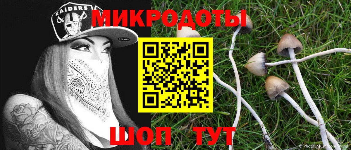 Псилоцибиновые грибы Cubensis Валуйки