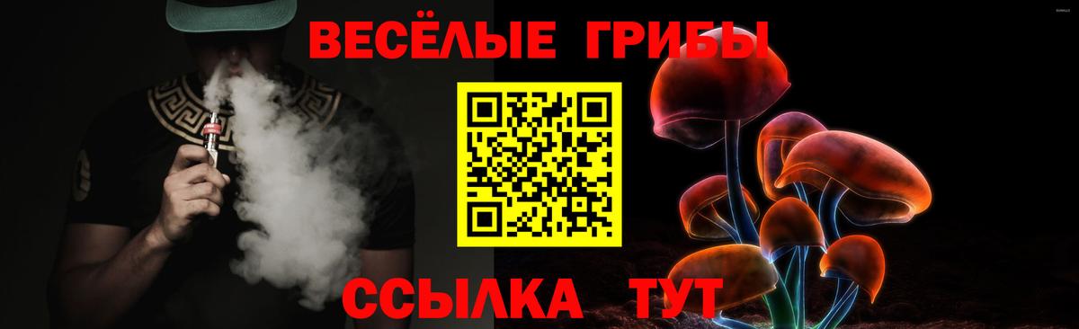 Псилоцибиновые грибы Psilocybe  Вход с VPN  Валуйки 